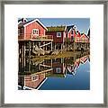 Rorbus With Reflections Framed Print