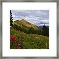 Rosy Paintbrushes Framed Print