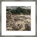 Rotorua Framed Print