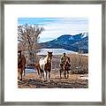 Roundup Heading For The Corral Framed Print