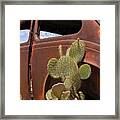 Route 66 Cactus Framed Print