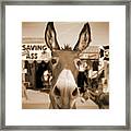 Route 66 - Oatman Donkeys Framed Print