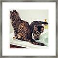 Rowdy And Folsom Sink And Cologne Framed Print