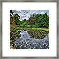 Royal Botanical Gardens, Melbourne Framed Print