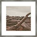 Ruby Beach No. 10 Framed Print