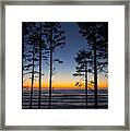 Ruby Beach Trees #4 Framed Print