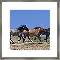 Running Free- Wild Horses Framed Print