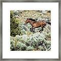 Running Through Sage Framed Print