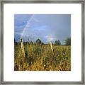 Rural Rainbow Framed Print