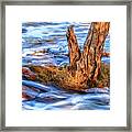 Rustic Island, Noble Falls Framed Print