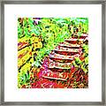 Rustic Step Path Through The Woods - Tamalpais California Framed Print