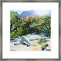 Sabino Canyon In The Morning Framed Print