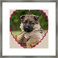 Sable Puppy In Heart Framed Print