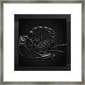 Sacred Black Scorpion On Black Canvas Framed Print