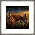 Saddle Horse On The Prairie Framed Print