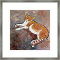 Saddle Tramp- Ranch Kitty Framed Print