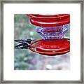 Safe Landing Framed Print