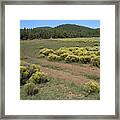 Sage In Bloom - Flagstaff Framed Print