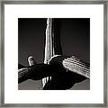 Saguaro At Arms Framed Print