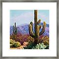 Saguaro Framed Print