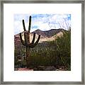 Saguaro National Park Framed Print