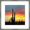 Saguaro Sunset Framed Print