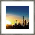 Saguaro Sunset Framed Print