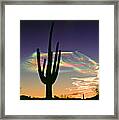 Saguaro With Missile Vapor Trails Framed Print