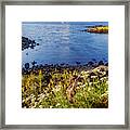 Sail Away Framed Print