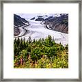 Salmon Glacier Framed Print