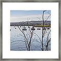 Salmon Run Framed Print