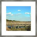 Salt Marsh View Framed Print