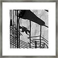 San Xavier Gate Shadow With Cactus 2 Bw Framed Print