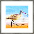 Sand Between My Toes ... Framed Print