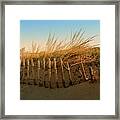 Sand Dune In Late September - Jersey Shore Framed Print