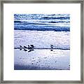 Sandpiper Beach I Framed Print