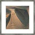 Sands Of Jockey's Ridge 1389 Framed Print