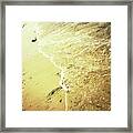 Sandy Beach And Sea Wave Framed Print