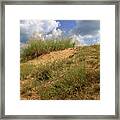 Sandy Prairie Framed Print