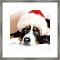 Santa Dog Framed Print