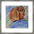 Sara's Goat, Hercules Framed Print