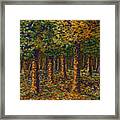 Savernake Forest Woodlands Marlborough Wiltshire Pastel Painting Framed Print