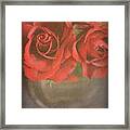 Scarlet Roses Framed Print