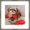 Scarlett And Red Purse Framed Print