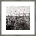 Hilton Head Dunes Black And White Framed Print