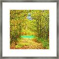 Scent Of Forest Path Framed Print