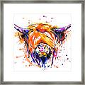 Scottish Highland Cow Framed Print
