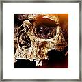 Skull #2 Framed Print