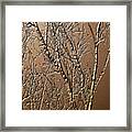 Sculpted Tree Branches Framed Print