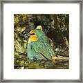 Sea Green Parrot Finch Bath Framed Print